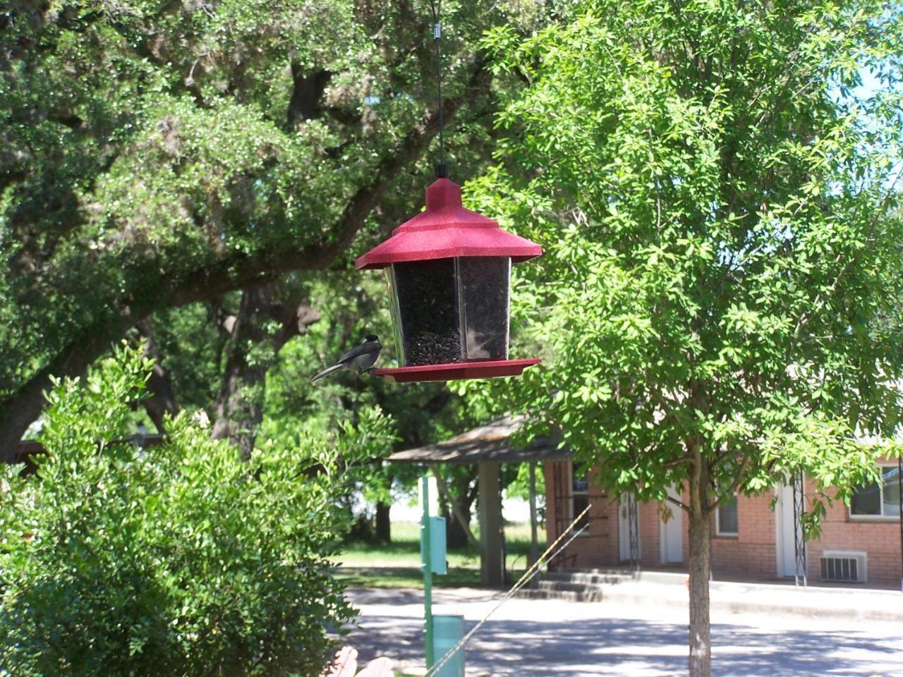 Blanco County Inn & Guesthouses Exterior photo